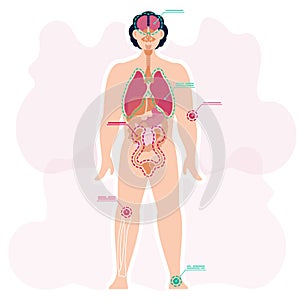 Diagram of human anatomy vector illustration. Image of human organs. Name of parts of the body