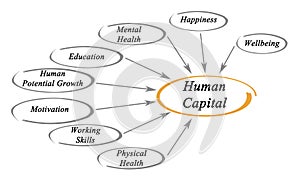 Diagram of Human Capital