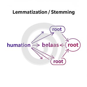 Lemmatization and Stemming Process in Natural Language Processing