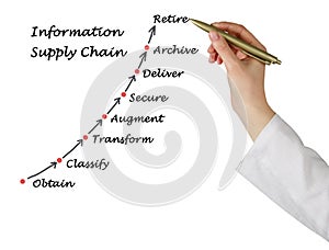 Diagram of Information Supply Chain