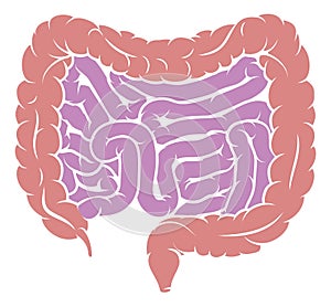 Diagram of Intestine Gut Digestive System photo