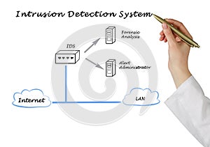 Diagram of Intrusion Detection System