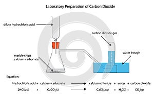 Diagram of the laboratory preparation of carbon dioxide