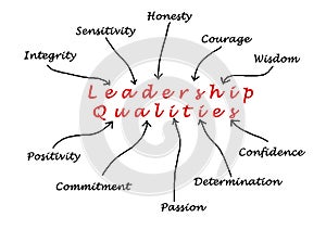 Diagram of leadership qualities photo