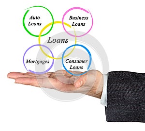 Diagram of loans