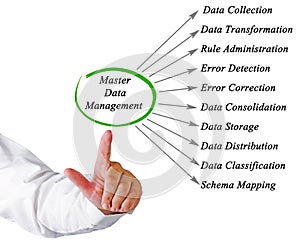 Diagram of Master Data Management