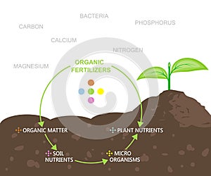 Diagram of Nutrients in Organic Fertilizers