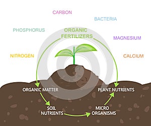 Diagram of Nutrients in Organic Fertilizers