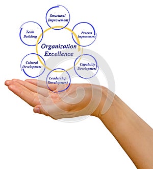 Diagram of Organization Excellence