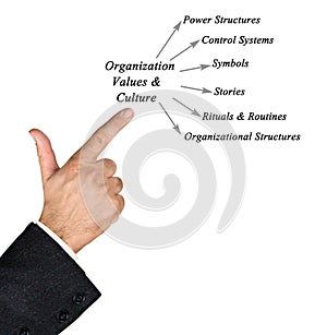 Diagram of Organization Values & Culture