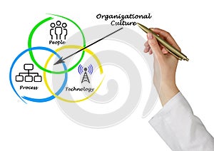 Diagram of Organizational Culture