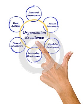 Diagram of Organizational Excellence