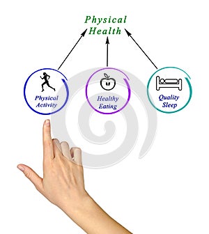 Diagram of Physical health