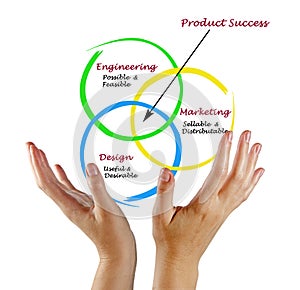 Diagram of product success