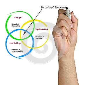 Diagram of product success