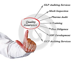 Diagram of Quality Assurance