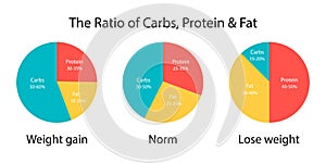 The diagram ratio of carbs, fats and protein for weight gain and lose weight. Diet plan icon. Vector