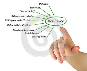 Diagram of Resilience