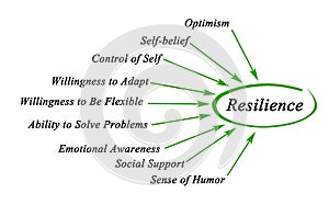 Diagram of Resilience