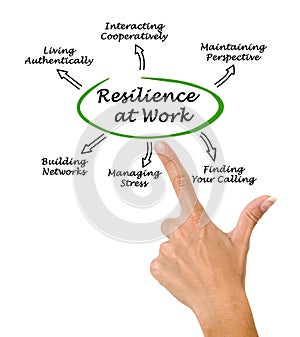 Diagram of Resilience at Work photo
