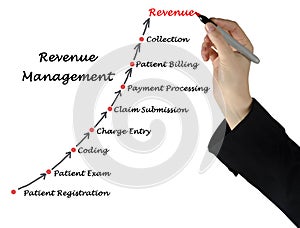 Diagram of Revenue Management photo