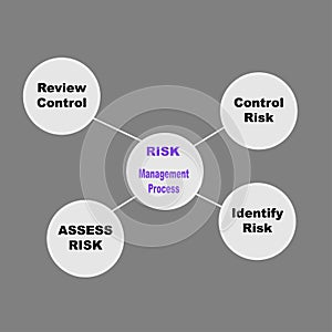 Diagram of Risk - Management Process with keywords. EPS 10 - isolated on gray background