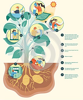 Diagram showing process of photosynthesis illustration.