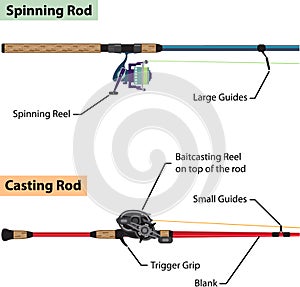 Diagram of spinning rod and baitcasting rod vector illustration