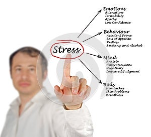 Diagram of stress consequences