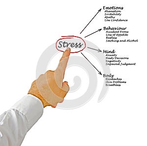 Diagram of stress consequences