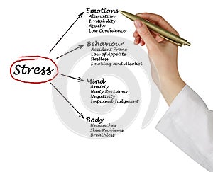 Diagram of stress consequences