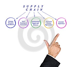 Diagram of Supply Chain