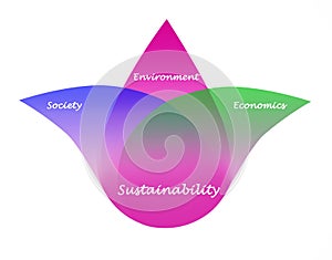 Diagram of sustainability