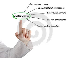 Diagram of sustainability