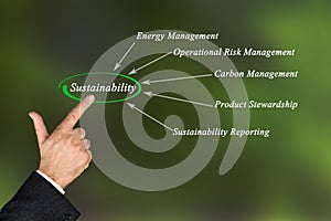 Diagram of sustainability