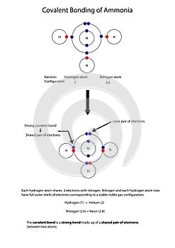 Diagram to illustrate covalent bonding in amonia with a fully la