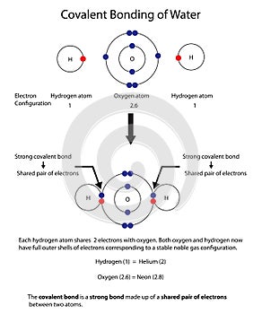 Diagram to illustrate covalent bonding in water with a fully lab