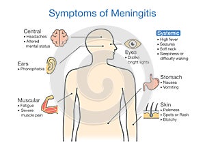 Diagram to showing patient symptoms with Meningitis disease. photo