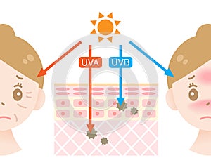 Diagram of uva and uvb  penetration into human skin with female face. Beauty and health care concept photo