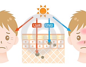 Diagram of uva and uvb  penetration into human skin with manâ€™s face. Beauty and health care concept