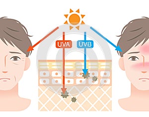 Diagram of uva and uvb  penetration into human skin with manâ€™s face. Beauty and health care concept