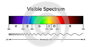 Diagram of the visible spectrum, a band of the electromagnetic spectrum