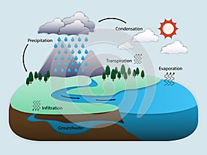 Diagram of Water Cycle in nature