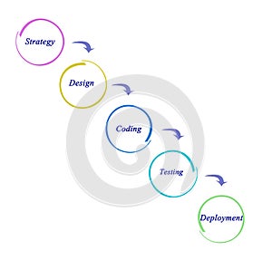 Diagram of website development