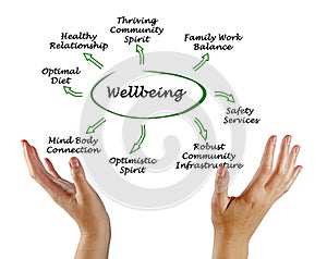 Diagram of Wellbeing