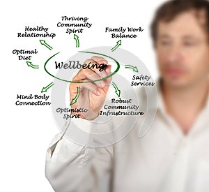 Diagram of Wellbeing