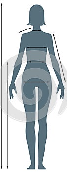 Diagrams of the female body measurements in full length photo