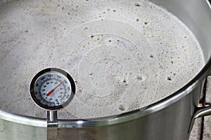 Dial Thermometer in Beer Mash