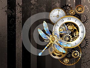 Dials with dragonfly - Steampunk background