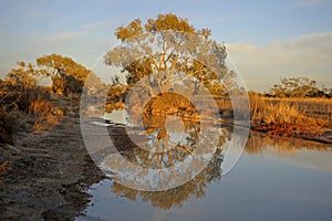 The Diamantina river at Birdsville